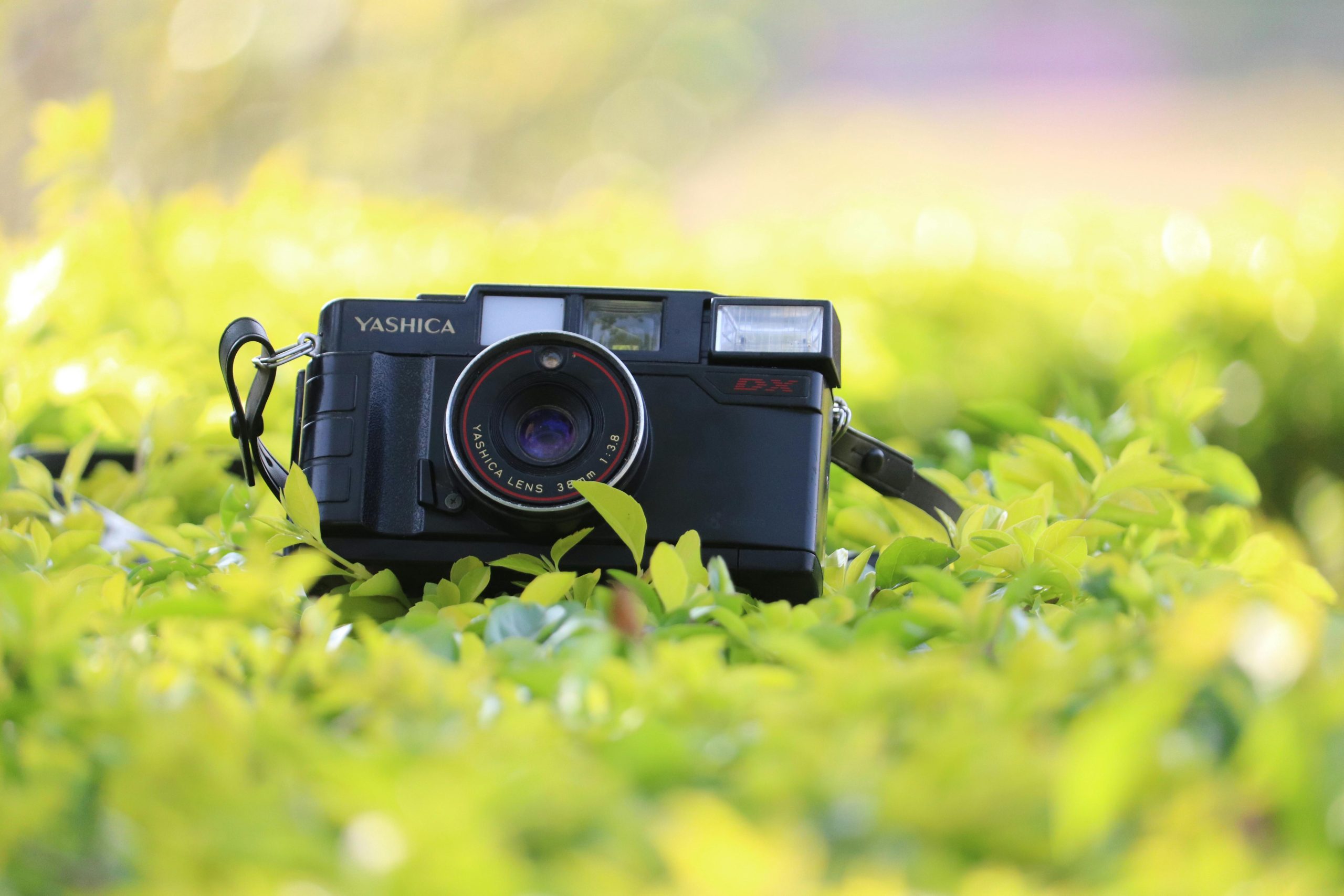 Experience a Magical Wedding with a Hawaii Wedding Photographer