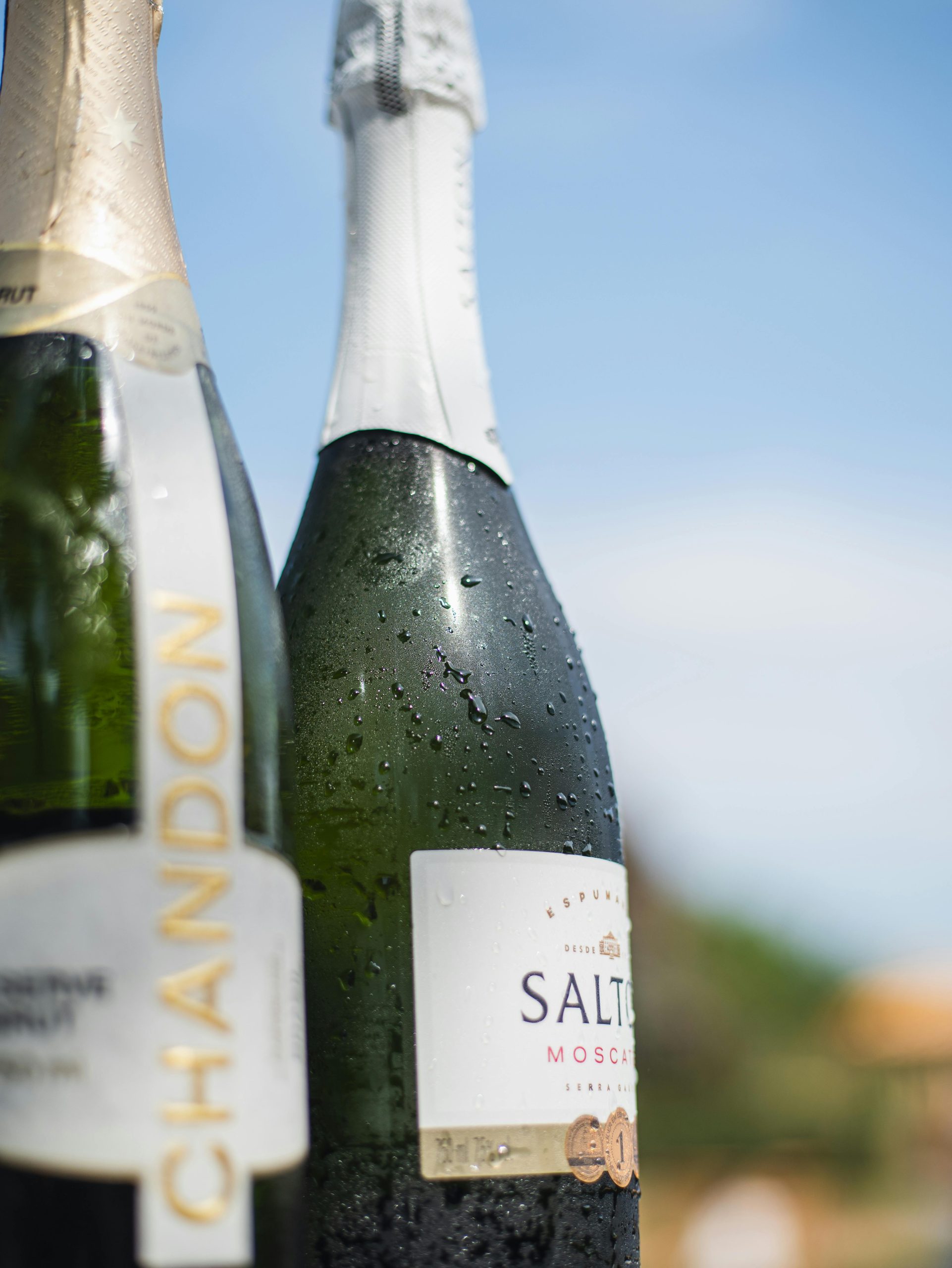 Champagne purchase : où trouver les meilleures offres